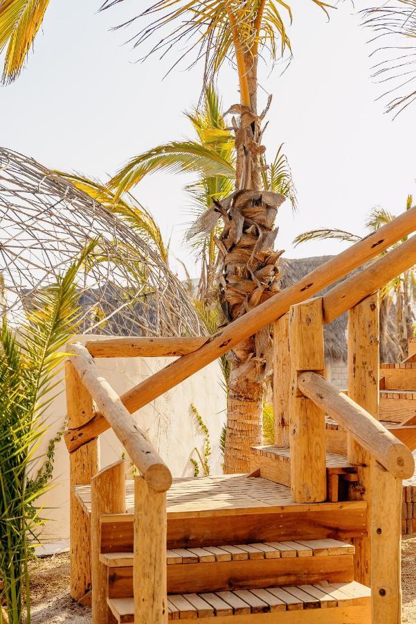 Baja Nomads Hotel - Adults 15 Plus 토도스산토스 외부 사진