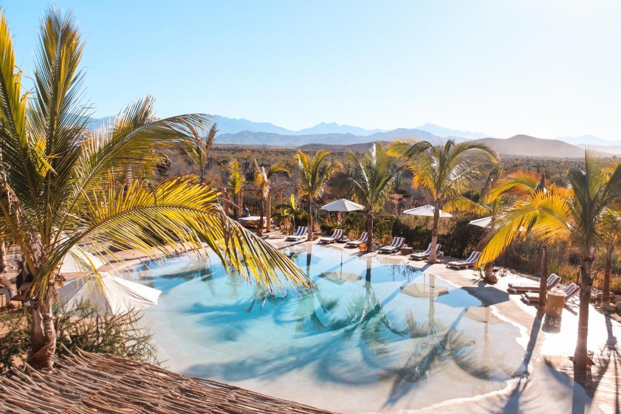 Baja Nomads Hotel - Adults 15 Plus 토도스산토스 외부 사진