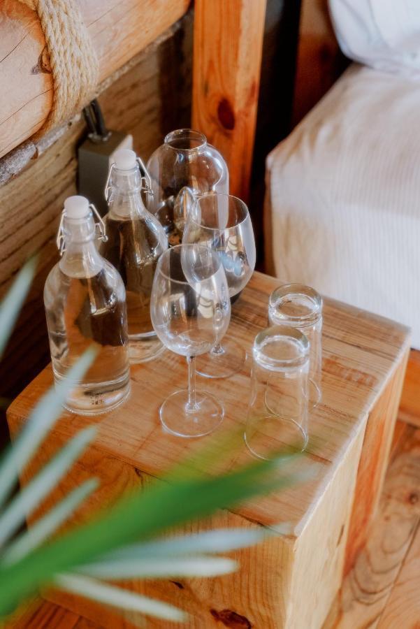 Baja Nomads Hotel - Adults 15 Plus 토도스산토스 외부 사진