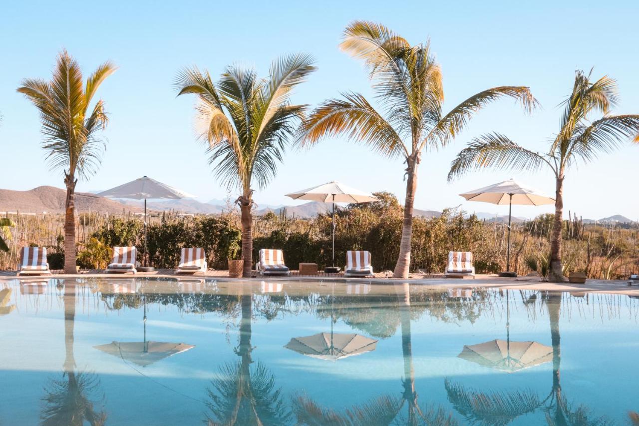 Baja Nomads Hotel - Adults 15 Plus 토도스산토스 외부 사진