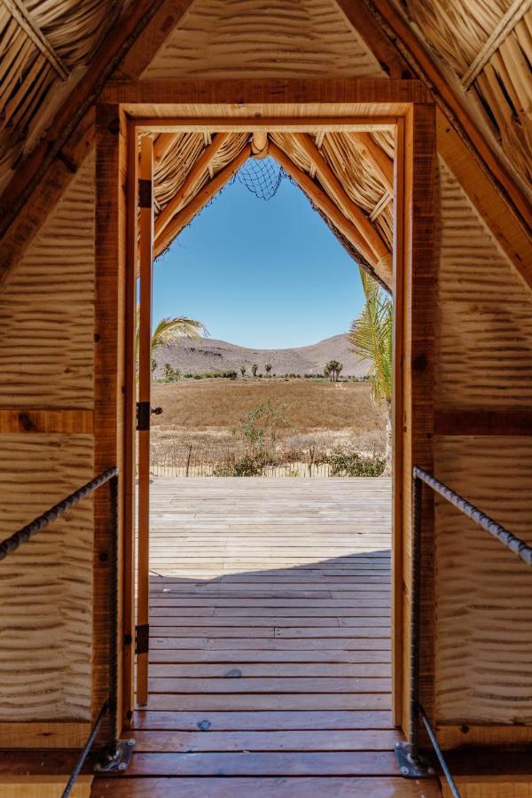 Baja Nomads Hotel - Adults 15 Plus 토도스산토스 외부 사진